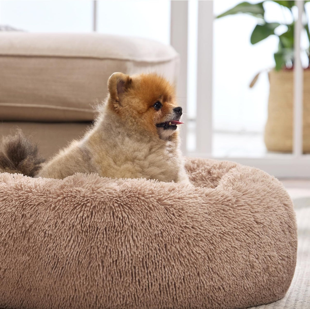 Bedsure Calming Small Medium Dog Bed Donut Washable Puppy Bed,27Ins Camel