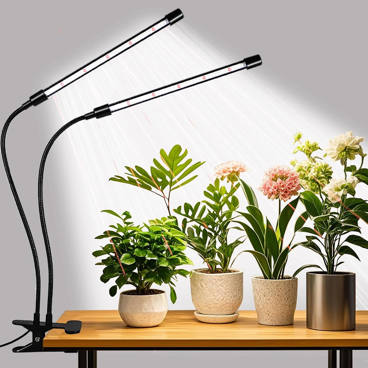 Grow Lights for Indoor Plants, Upgrade 84 Leds Clip Plant Lights, Full Spectrum LED Plant Growing Lamps with Flexible Gooseneck, 3/9/12H Timer, 3 Spectral Modes, 10 Dimmable Levels (2 Head 1 Pack)