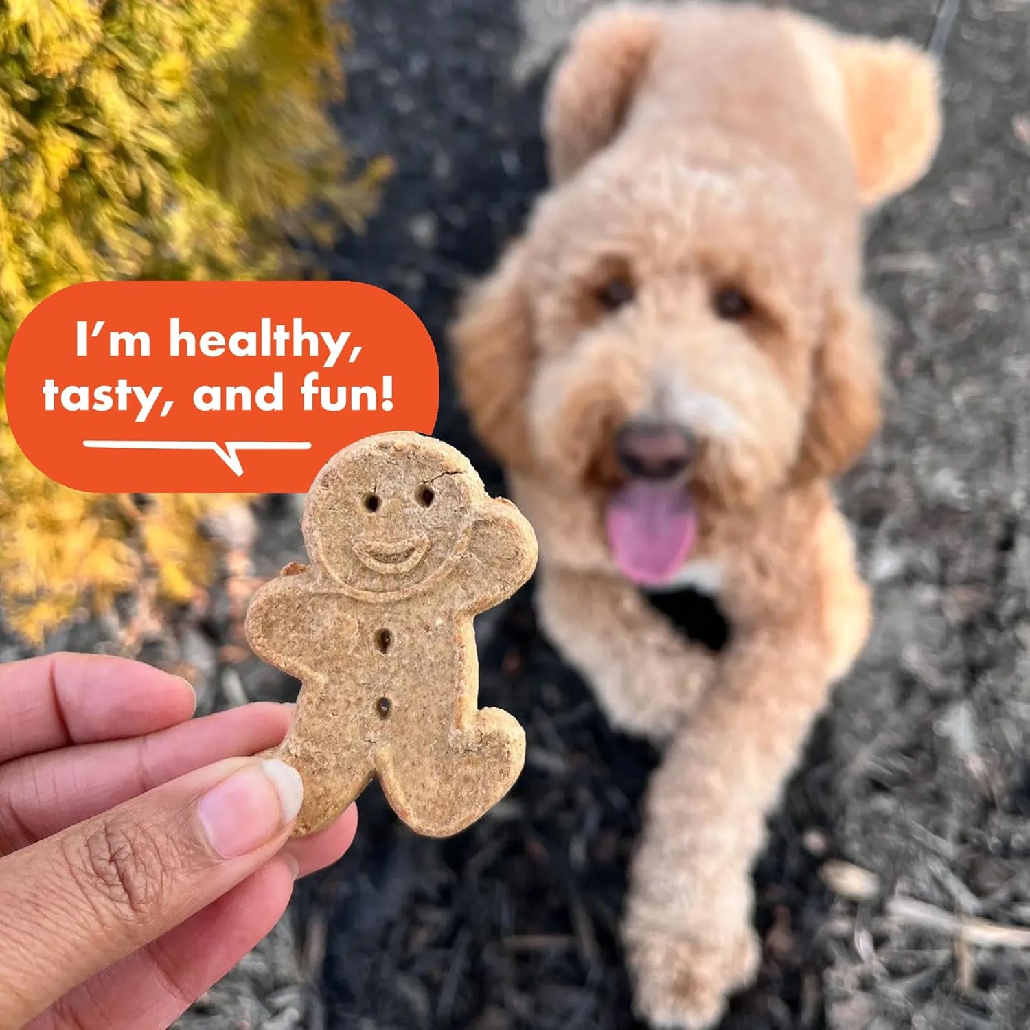 Buddy Biscuits Grain Free Crunchy Treats with Peanut Butter - 14 Oz.