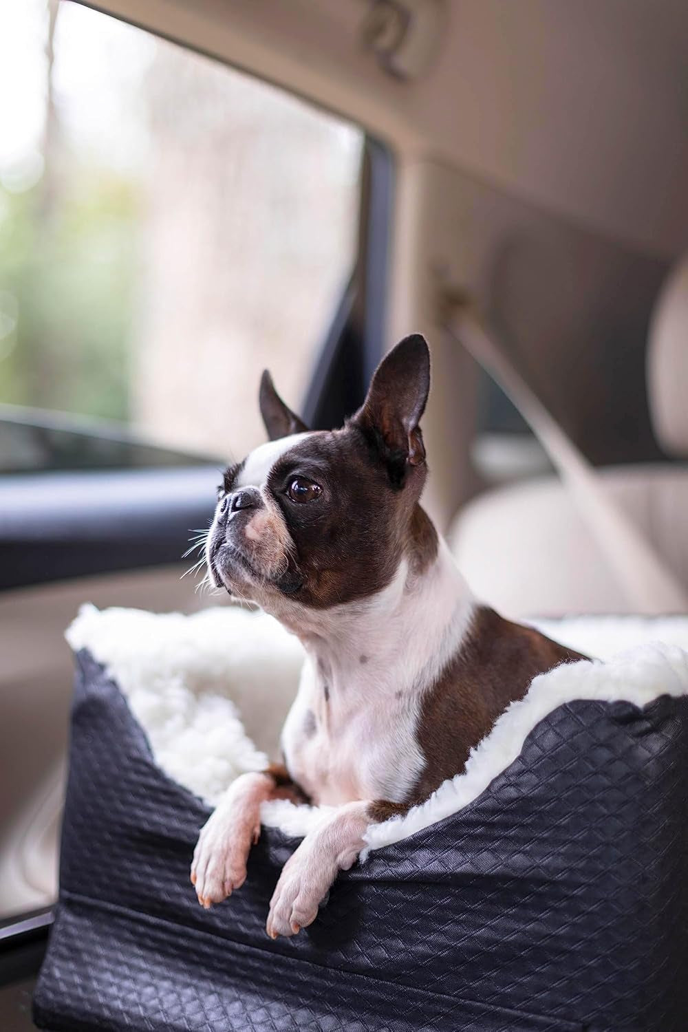 Snoozer Dog Car Seat for Dogs up to 18Lbs, Lookout II, Black Diamond (S)