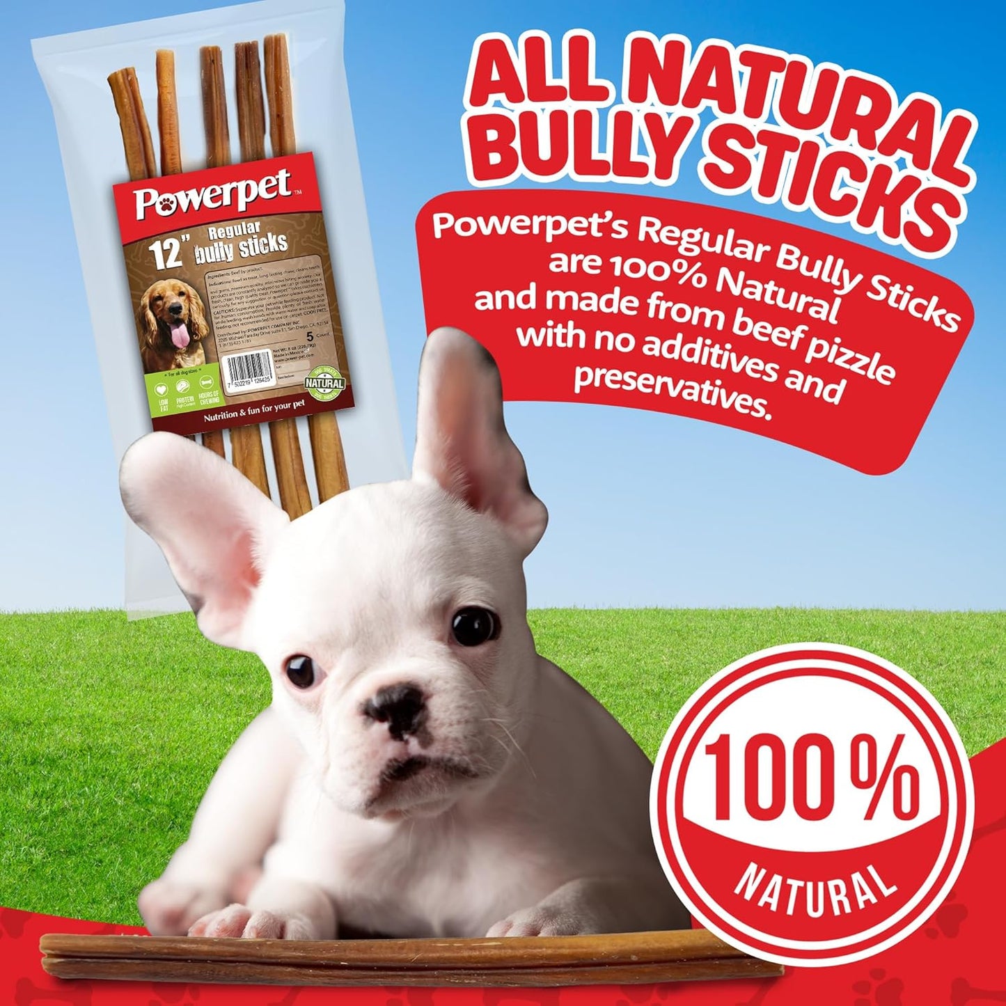 Powerpet 100% Natural Bully Stick - High Protein, Low Fat, Healthy Dog Treats, Long-Lasting Dog Chews, Easily Digestible, Cleans Teeth, Low Odor, for All Breeds & Sizes, 12" - 5 Count