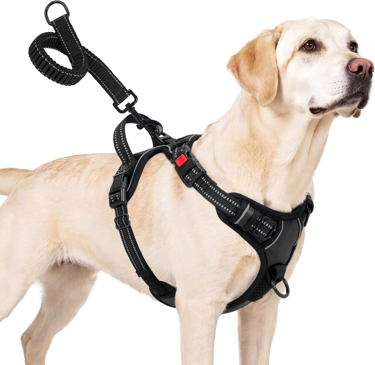 Taglory No Pull Dog Harness for Large Dogs, Bungee Extension, Black, L