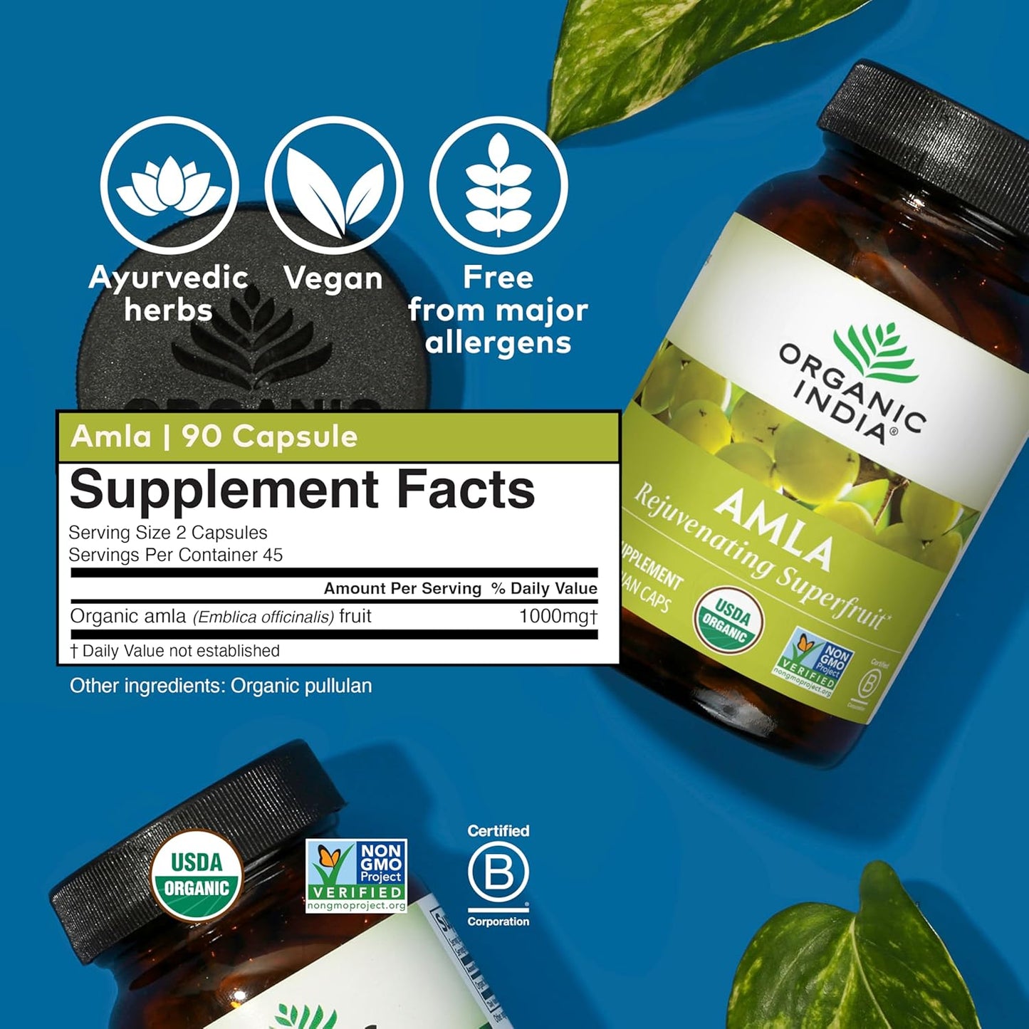 ORGANIC INDIA Amalaki Herbal Vitamin Supplement - Immune Support, Vitamin C, Vegan, Gluten-Free, Kosher, Ayurvedic, Antioxidant, USDA Certified Organic, Non-Gmo - 90 Capsules