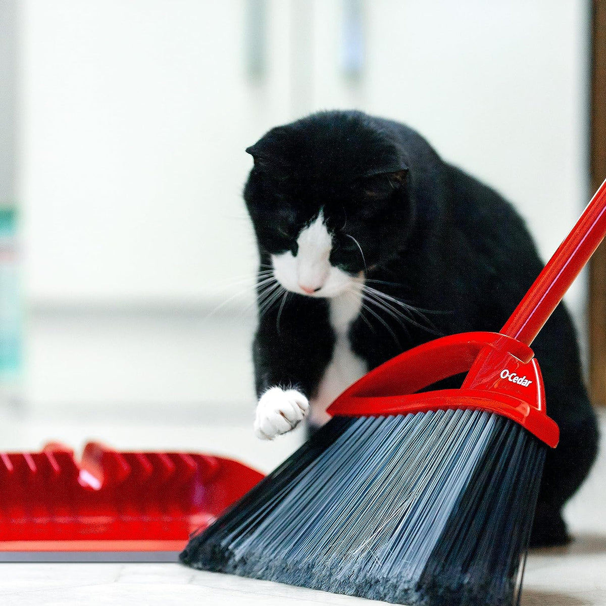 O-Cedar Pet Pro Broom with Step-On Dustpan | Removes over 99% of Dust & Dirt in One Sweep | Removes 3X More Pet Hair | Quiet Cleaning Tool for Cat and Dog Owners