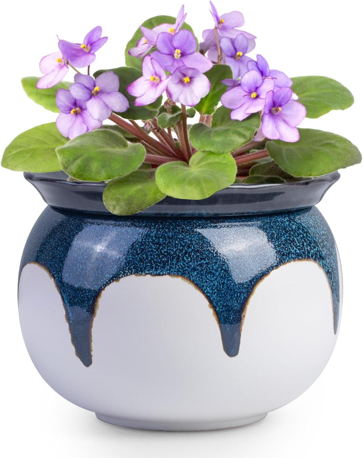 BUYMAX African Violet Pots, 6 Inch Ceramic Easy Self Watering Plant Pot for Busy Plant Lovers, Automatically Absorb Appropriate Amount of Water, Flower Pot Indoor-Plants Not Included(Blue)