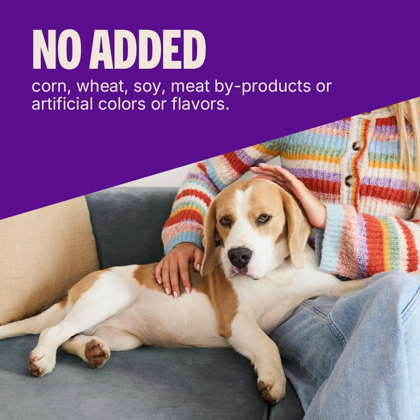 Wellness Soft Puppy Bites Dog Training Treats, Natural, Grain Free, Lamb and Salmon Recipe, 3 Oz Bag