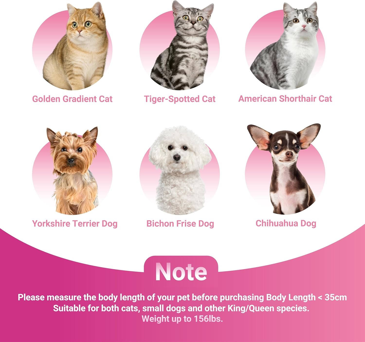 Luxury Pet Sofa – Holland Velvet Dogcat Throne Chair, Pink Princess Style, Cozy & Soft, Washable Cover, Scratch-Resistant & Durable, Perfect for Home Décor & Pet Lovers