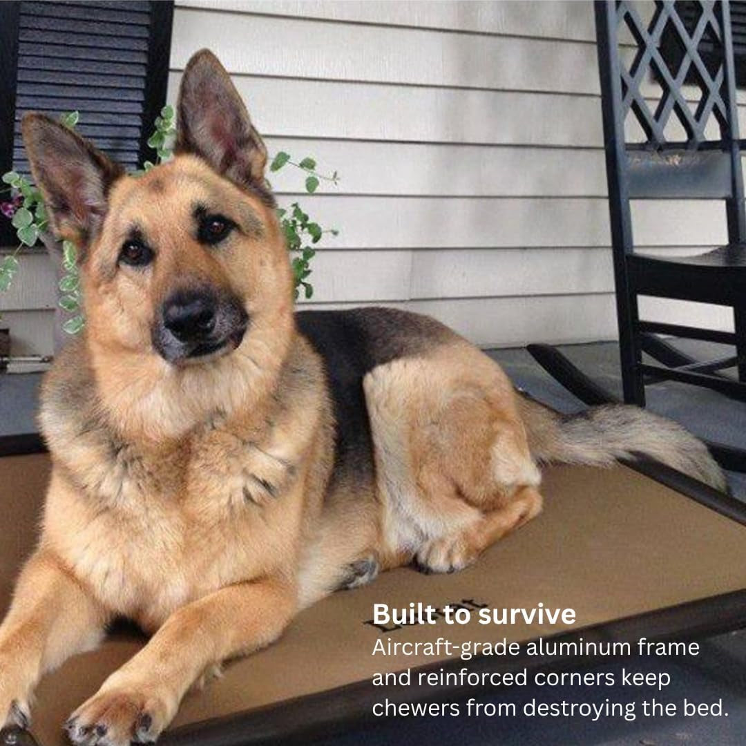 Kuranda Chewproof Elevated Dog Bed - Walnut PVC - 40" X 25" - Sunsure Textilene Outdoor Mesh - Sierra