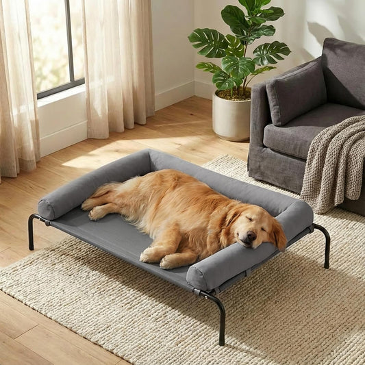 RRPETHOME Elevated Cooling Dog Cot 43X31, Large Raised Outdoor Dog Bed