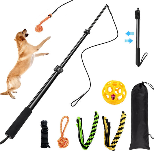 Flirt Pole for Dogs, 40" Extendable Aluminum Teaser Pole with 4 Lures