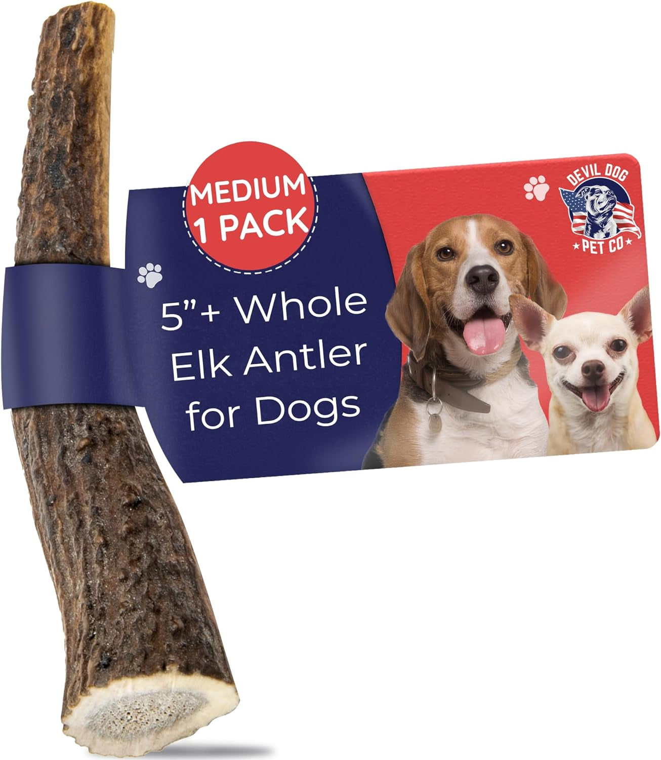 Devil Dog Pet Co. Elk Antlers for Dogs, Natural Dog Chew for Aggressive Chewers - Long Lasting and Odor Free - USA Sourced - Cleaner Teeth, Anxiety & Boredom Relief - Whole Medium 5"+ - Antler Bone