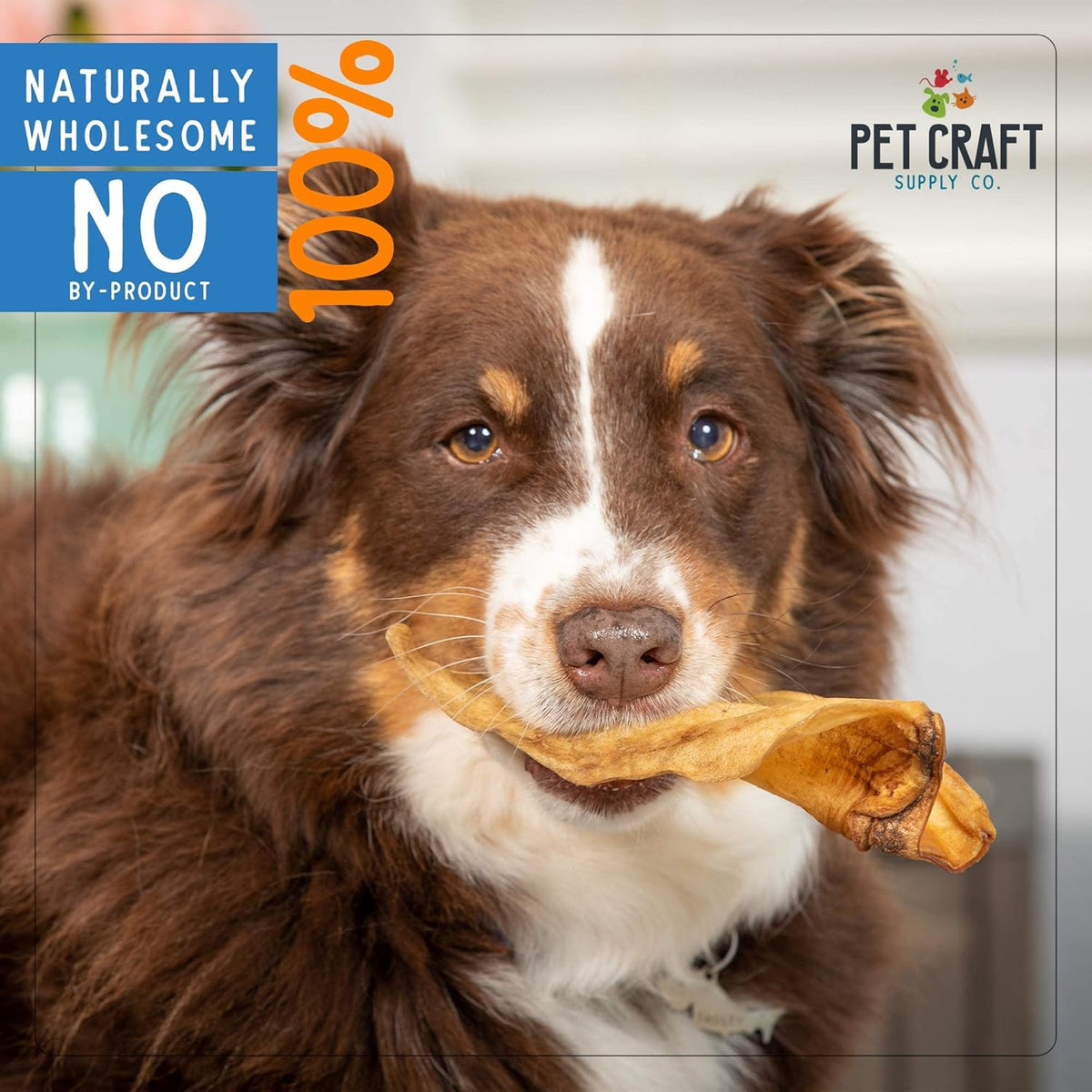 Pet Craft Supply Water Buffalo Ears Dog Chews, Aggressive Chewers, 16 Pack