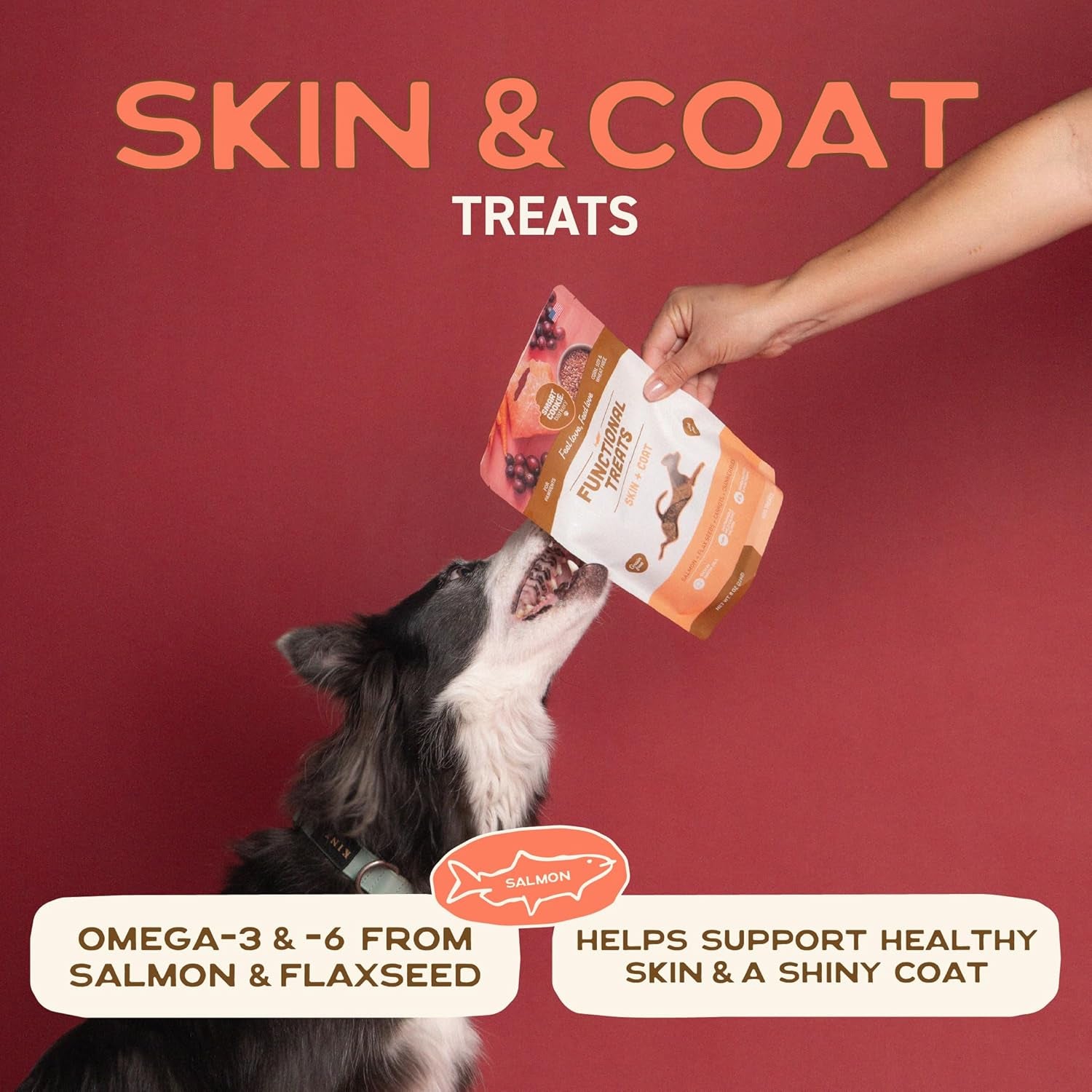 Smart Cookie All Natural Dog Treats - Healthy Skin & Coat Salmon Dog Treats - Ideal for Sensitive Stomachs or Itchy, Allergic, Dry Skin - Dehydrated, Crunchy, Human-Grade, Made in USA - 8Oz, Pack of 1