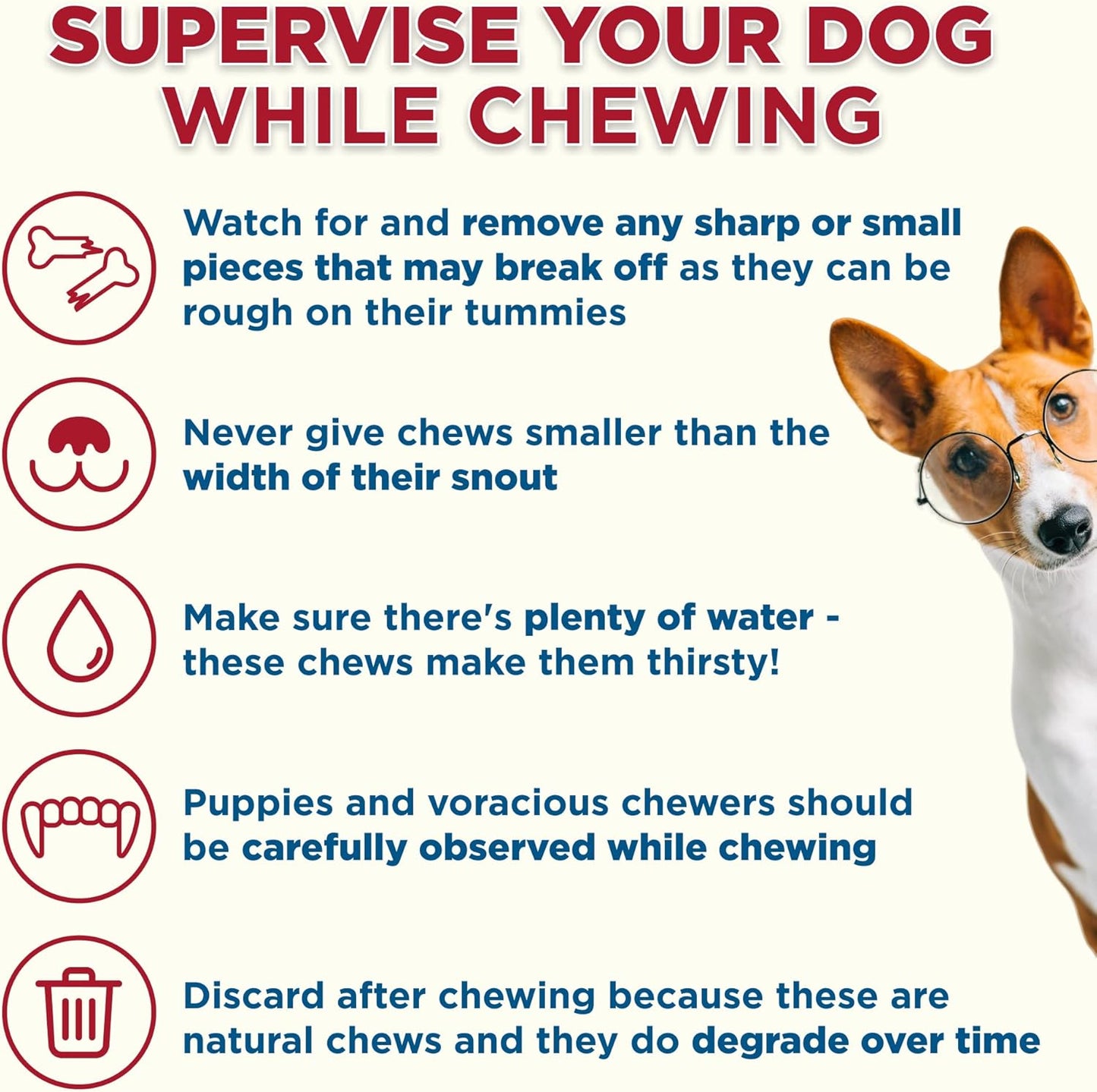 Best Bully Sticks 5-6 Inch Bacon and Cheese Filled Shin Bones for Dogs - 5 Count (Pack of 1) - Easily Digestible, Long-Lasting, Refillable Treat