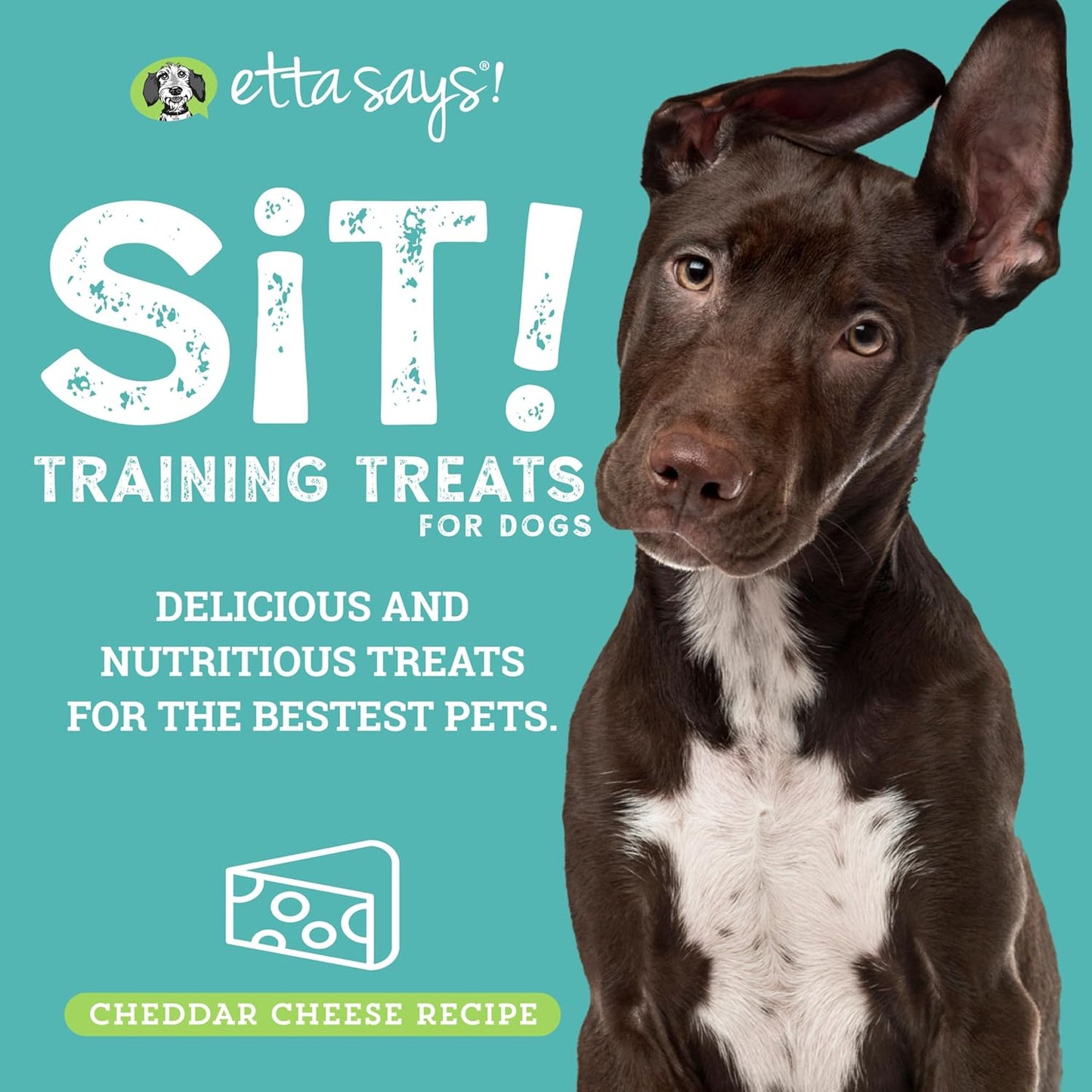 Etta Says! Training Treats - All Natural Cheese Soft Treats for Dogs - Made in the USA (16 Oz Pack of 1)