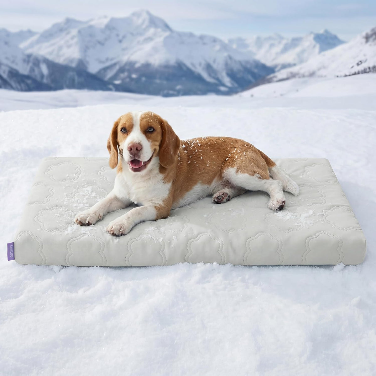 LE SURE Apexcloud™ Cooling Dog Bed for Large Dogs with Washable Cover,35In