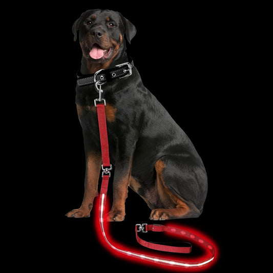 Petisay Light up Dog Leash for Night Walking - USB C Rechargeable - Waterproof - Dog Leashes with Flashlight - LED Leashes for Dogs - 6Ft, Red