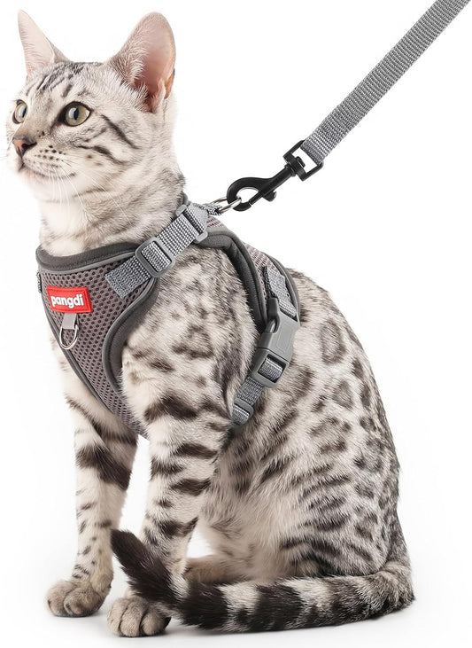 Cat Harness and Leash Set, Lightweight Air-Mesh Cat Vest, Grey, XXL