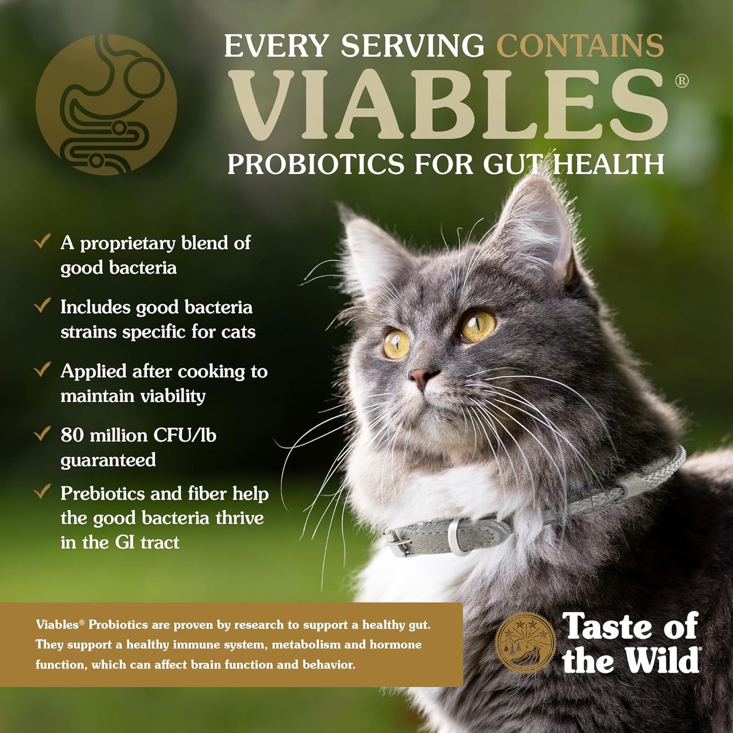 Taste of the Wild Rocky Mountain All Life Stages High Protein Grain-Free Recipe with Roasted Venison & Smoke-Flavored Salmon Dry Cat Food 14Lb Bag