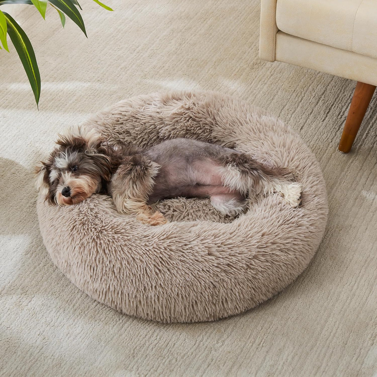 Western Home Calming Donut Small Dog Cat Bed Washable Puppy Bed,24" Brown