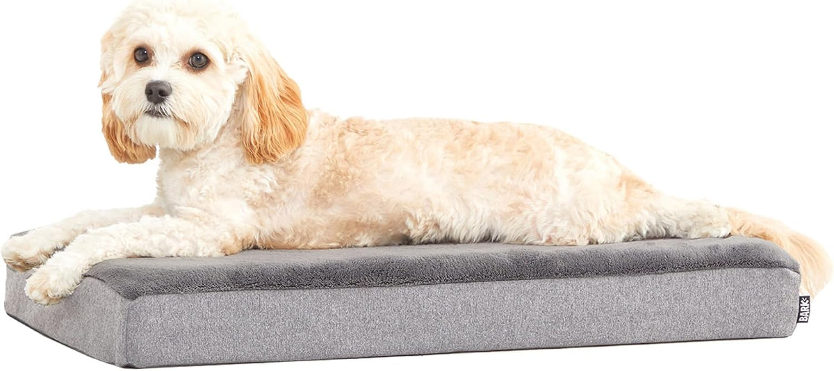 Barkbox Orthopedic Dog Bed - Medium