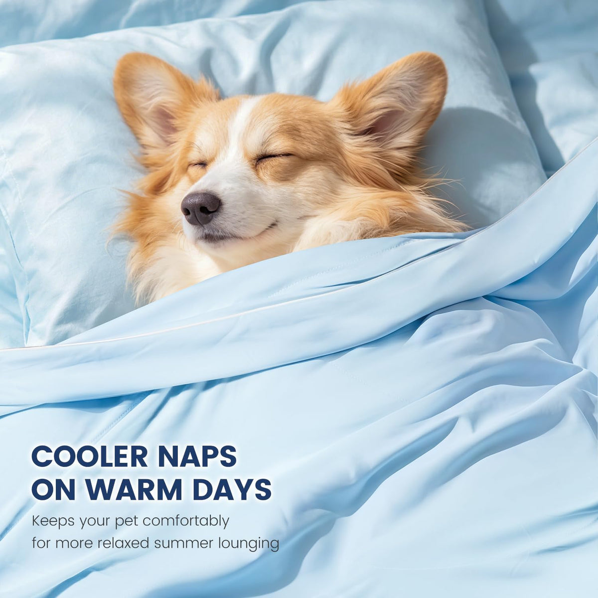 Mora Pets Cooling Blanket for Small Dogs Lightweight Soft Blue 29X40 Inch