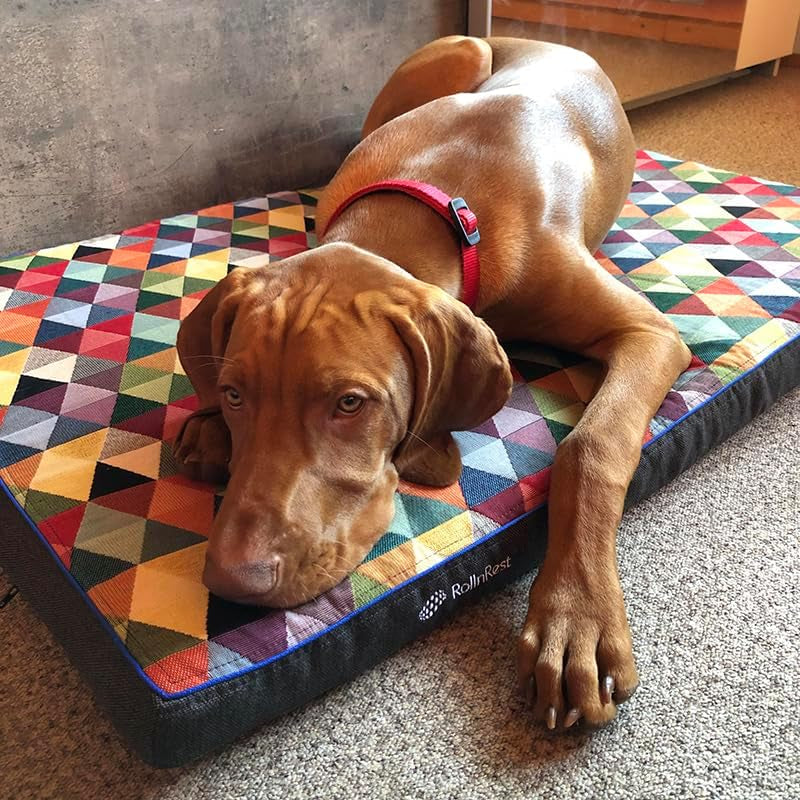 Rollnrest Therapeutic PEMF Dog Bed – Orthopedic Cooling Memory Foam Bed for Dogs with Joint Support & Recovery, Elara Cover, Medium 35.4" X 23.6"