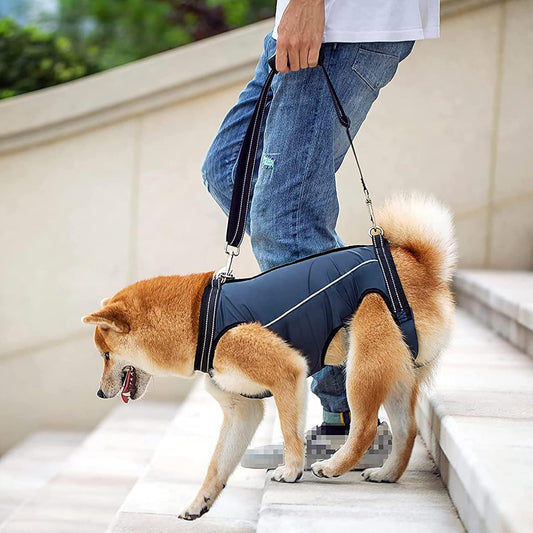 Dog Lift Harness Full Body Support & Recovery Sling Dog Lifter Vest Harness for Old, Joint Injuries (Small, Navy)
