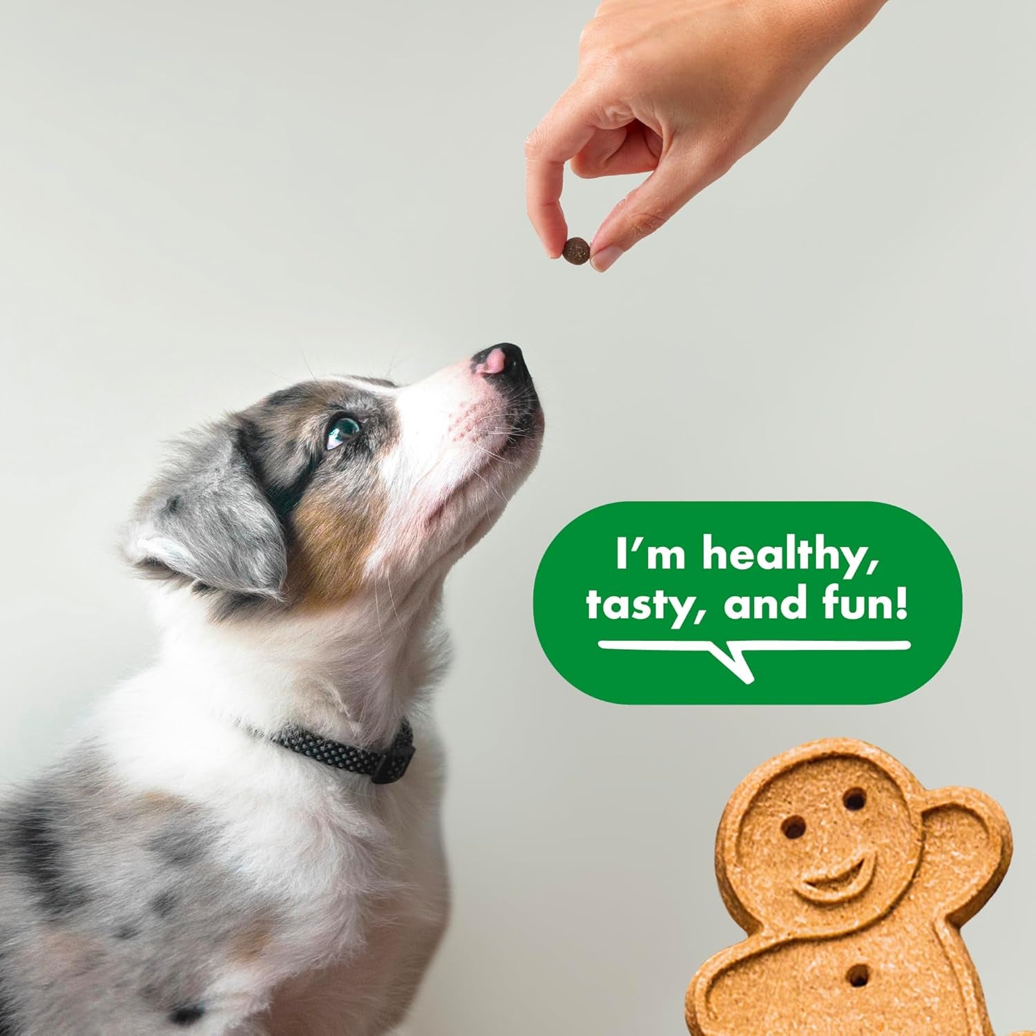 Buddy Biscuits Trainers Training Bites Soft & Chewy Dog Treats, Chicken, 10 Oz. Pouch