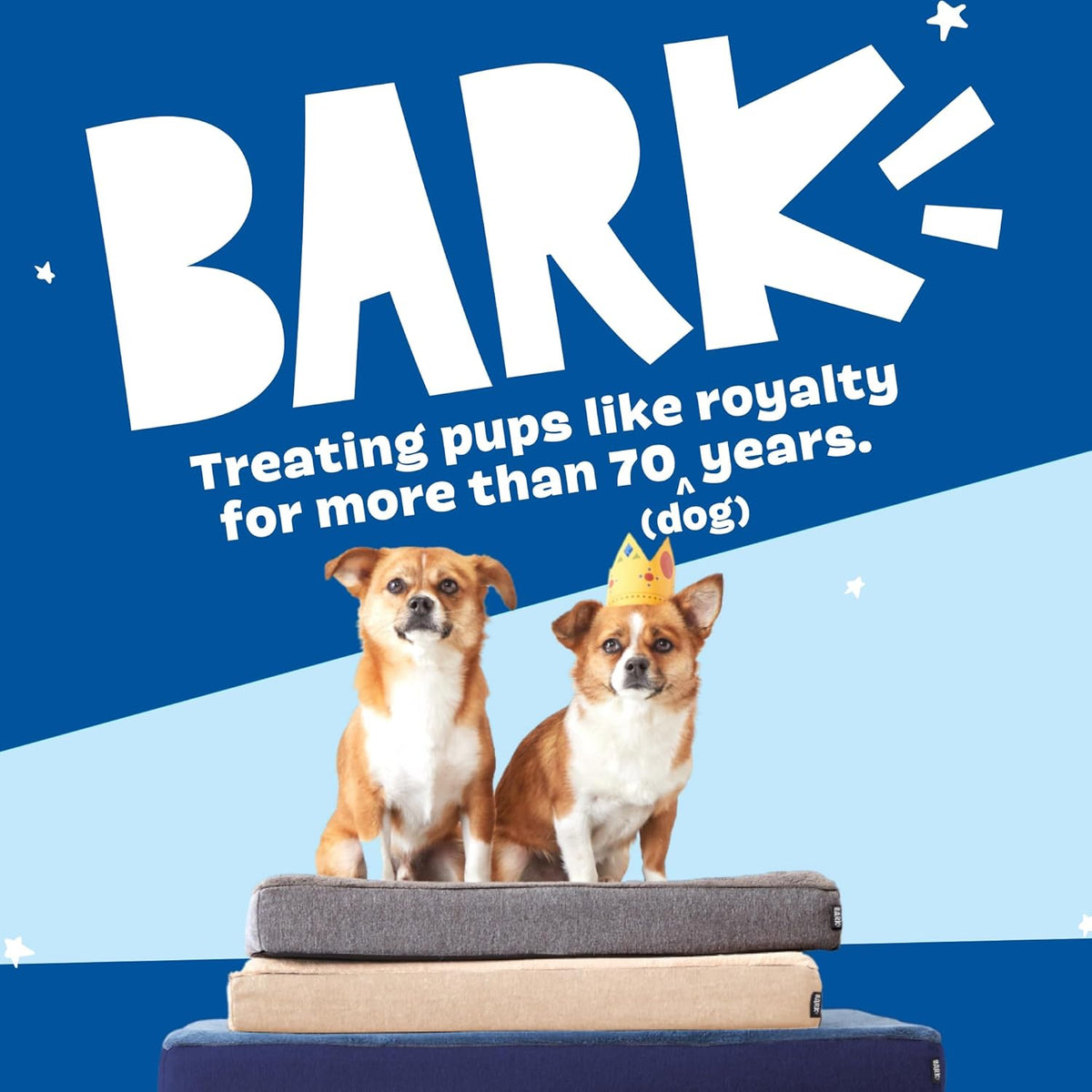 Barkbox Orthopedic Dog Bed - Large