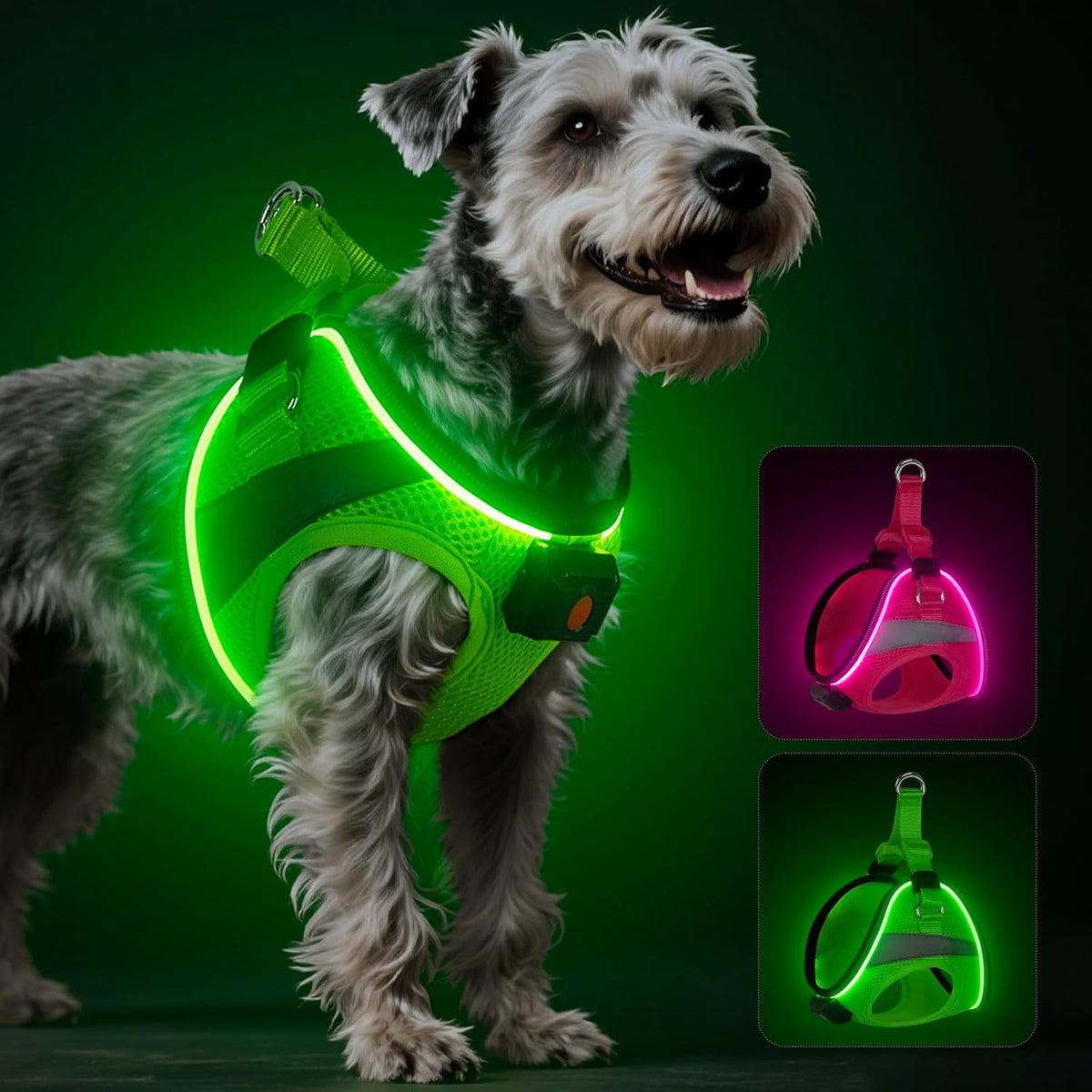 Light up Dog Harness for Small Medium Dogs (Not for Large) Cats LED Harness
