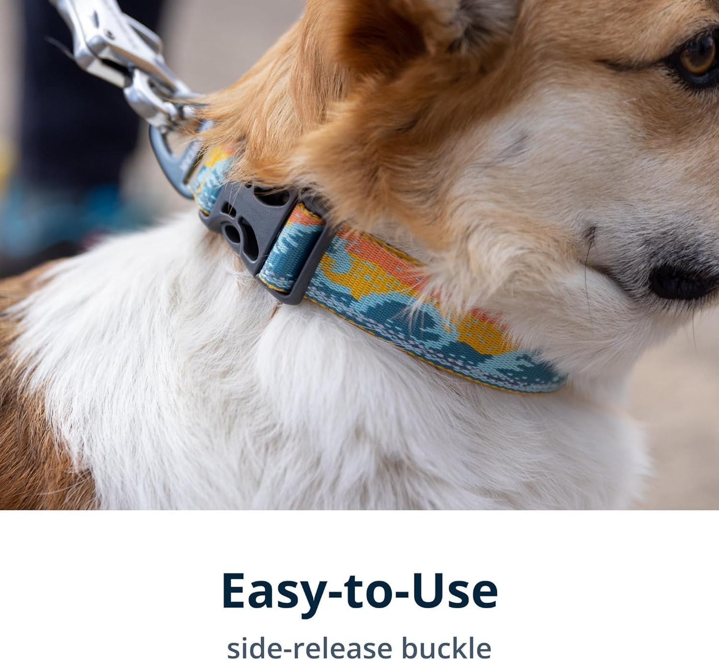 Ruffwear, Crag Dog Collar, Stylish Adventure Collar with Premium Reflective Design, Quick Release Buckle, Lightweight All-Day Comfort, Rising Wave, 20"-26"
