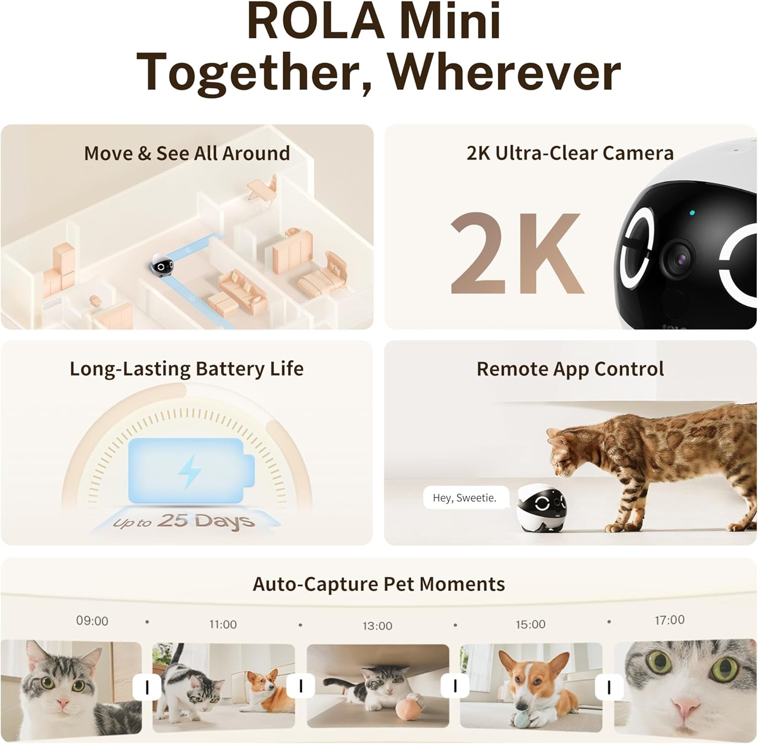 Enabot EBO ROLA Mini Familybot 2K Pet Camera Robot: Movable Indoor Camera Battery-Powered with Phone App, One-Touch Call, 2-Way Talk, Night Vision, Motion Detection, Video Recording