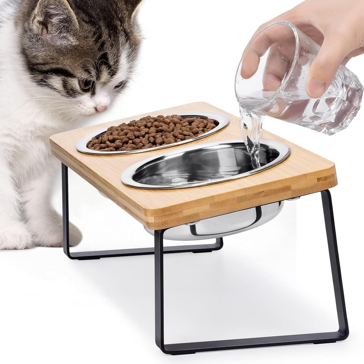 Elevated Cat Food Bowl for Indoor Cats, Raised Water Bowl Set for Kitten