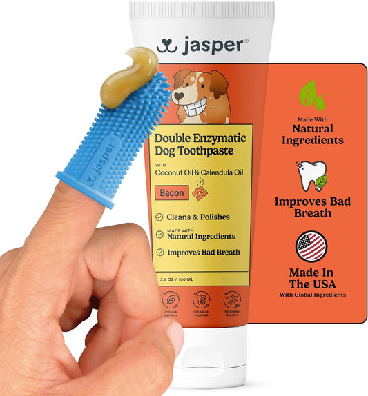 Jasper 360 Dog Tooth Brushing Kit and Dog Toothpaste (Bacon) Kit