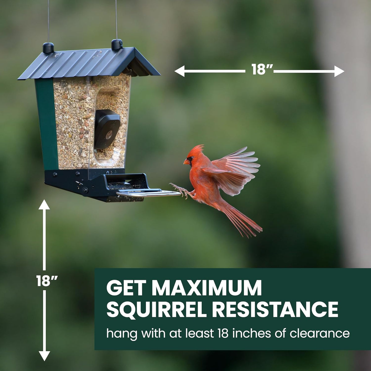Perky-Pet SPCAM Perky-Pet Smart Bird Feeder with Camera - Squirrel-Resistant, 3.5 Lb Capacity, Motion Activated 1080P HD, Wi Fi, SPCAM - Camera Feeder Gift Idea
