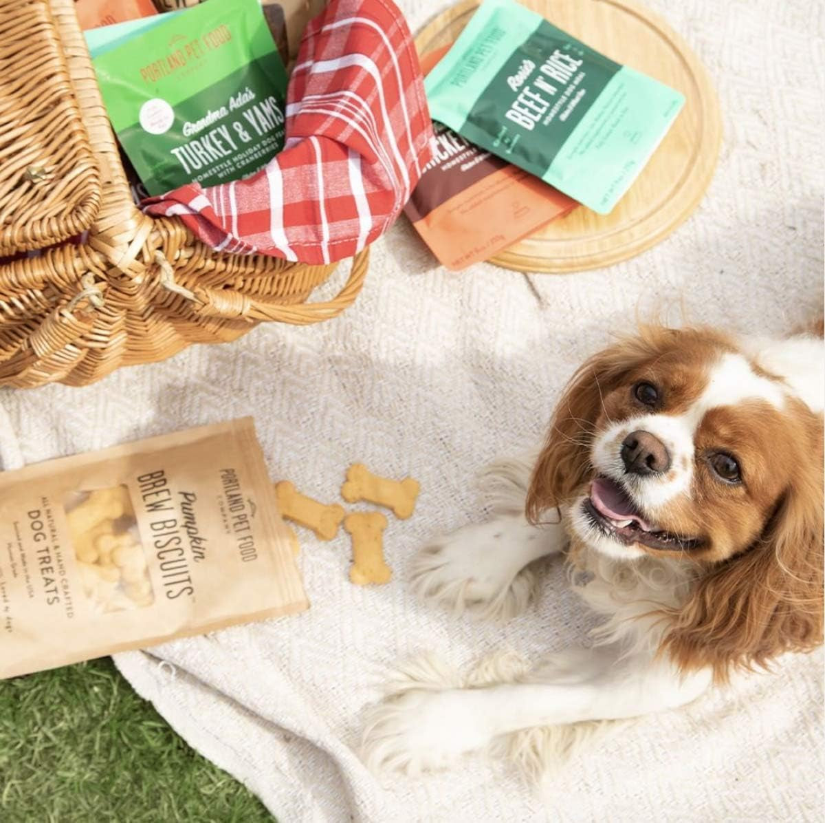 CRAFTED by HUMANS LOVED by DOGS Portland Pet Food Company Beef Broth Brew Biscuit Dog Treats (1 Pack, 5 Oz Bag) – All Natural, Human-Grade, Usa-Sourced and Made