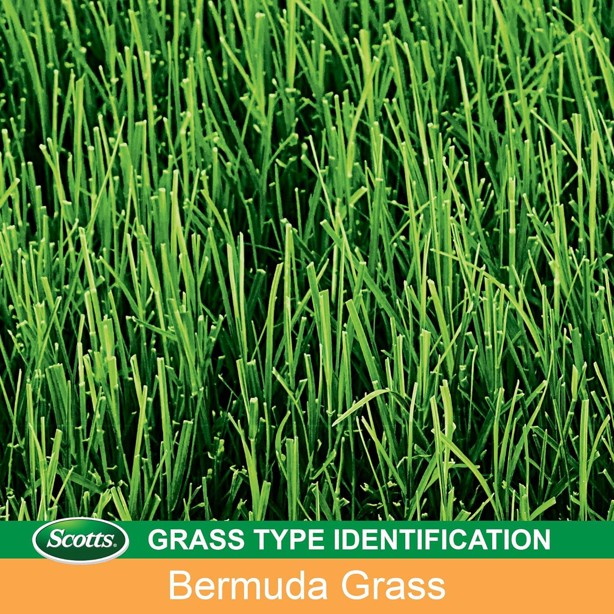 Scotts EZ Seed Patch & Repair Bermudagrass, 10 Lbs.