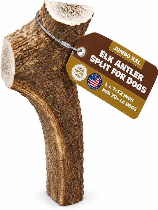 Jumbo Elk Antler Split for Dogs –XXL G Natural Premium Grade A. Antler Chew. Naturally Shed, Hand-Picked, and Made in the USA. NO Odor, NO Mess. GUARENTEED SATISIFACTION. for Dogs 70-90+ Lbs.