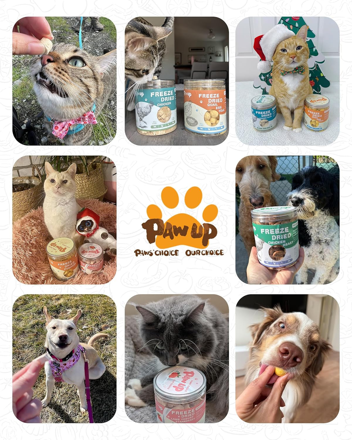 PAWUP Freeze Dried Quail Egg Yolk Pet Treats, Freeze-Dried Pet Food for Dogs, Cats, Pure Fresh Ingredient, 4.2 Oz, Rawhide Free, Gluten&Grain Free
