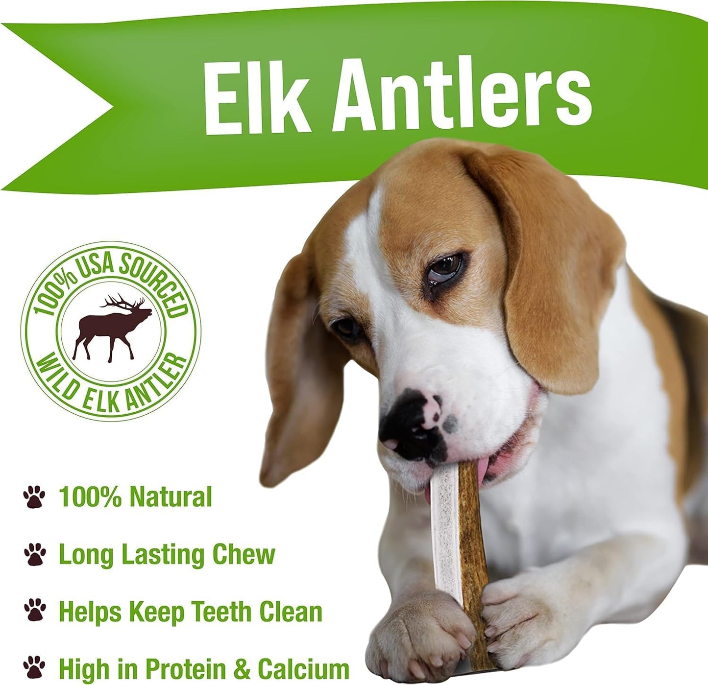 Buck Bone Organics Dog Chews, Antlers for Dogs, Premium Natural Elk, Long Lasting Dog Bones for Aggressive Chewers, No Preservatives, Wild Shed in the USA (Medium 2 Pack)