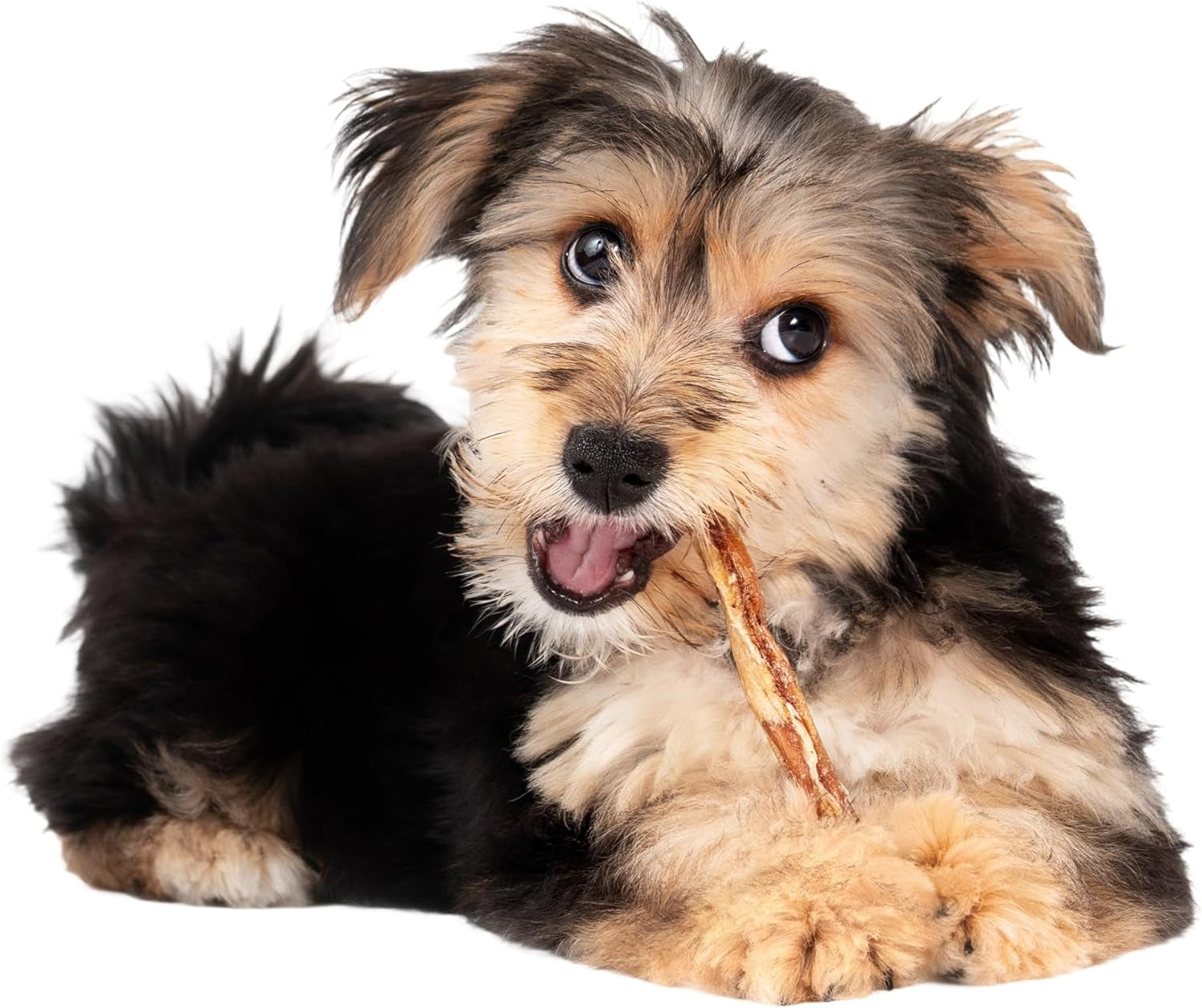 Fieldcrest Farms Nothin' to Hide Twist Stix, Chicken Flavor, Easily Digestible, Supports Skin, Coat, Joints & Muscles, for Moderate Chewers under 15Lbs, 10 Pcs