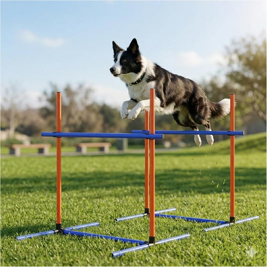 Dog Agility Equipment Set with Tunnel & Obstacles for Training