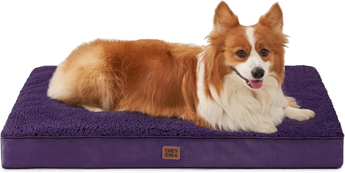 EHEYCIGA Orthopedic Dog Bed Large with Removable Washable Cover, 35X23