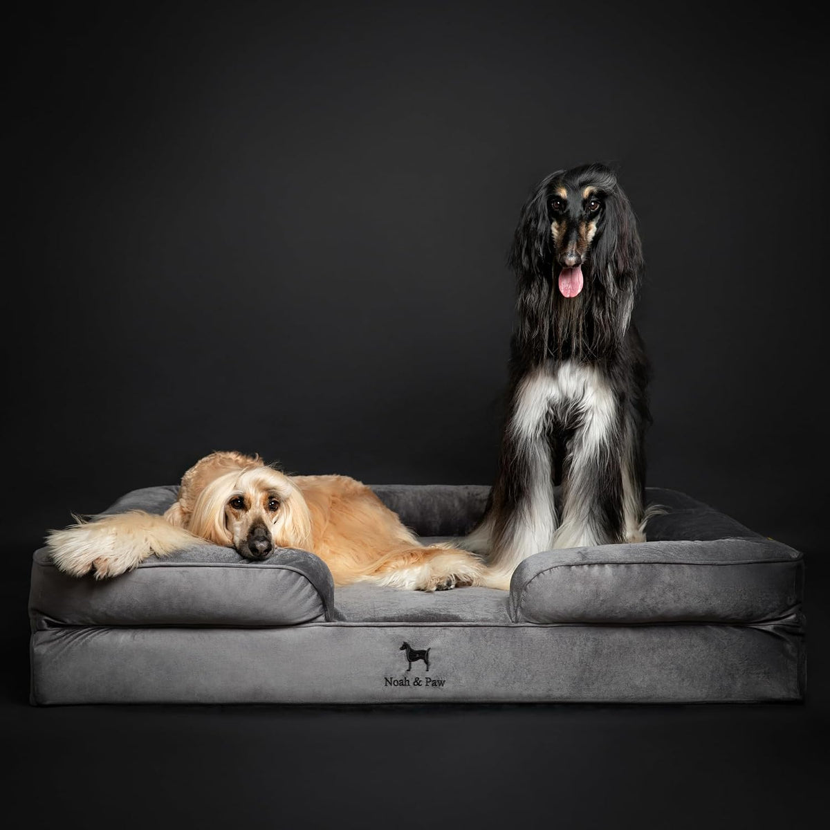 NOAH & PAW Giant Dog Bed XXL, 55X45X11 Inch, Orthopedic Dog Beds, Eggshell Memory Foam Infused with Cooling Gel, Inner Cover, Water Resistant, Machine Washable