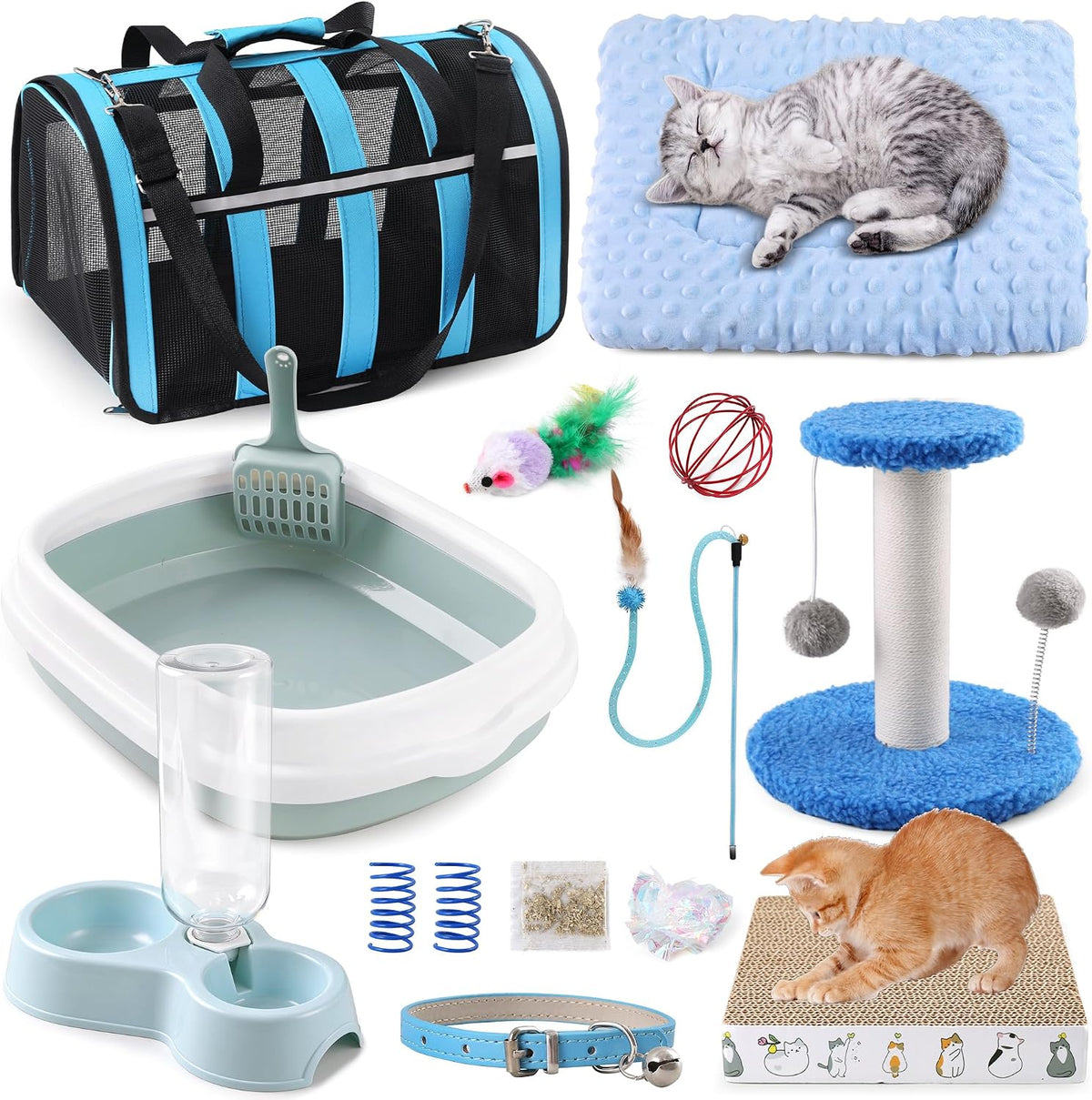 12 Pcs Kitten Starter Kit for Indoor Cats, Kitten Essentials, Blue