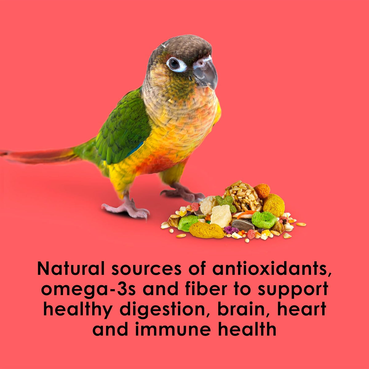Kaytee Fiesta Conure Bird Food, Nutritious Fun Blend, 4.5 Pounds