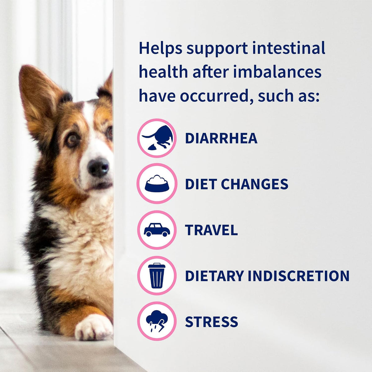 Nutramax Proviable Probiotics + Prebiotics, for Dogs & Cats, Capsules, 80Ct