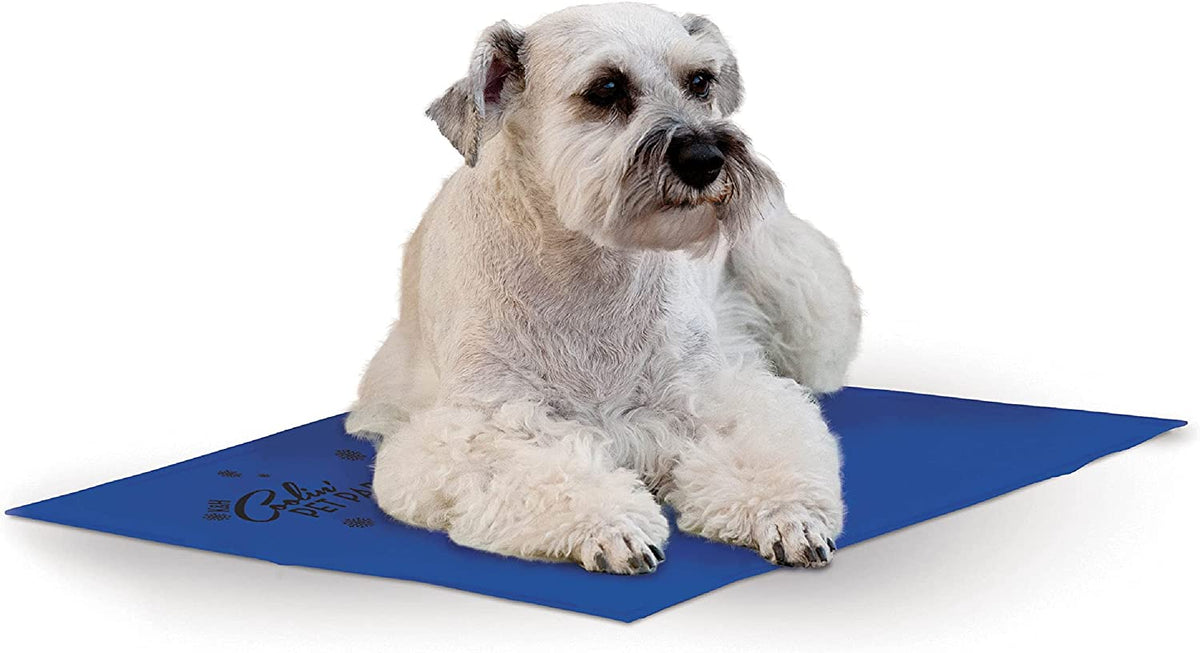 K&H Dog Cooling Mat, Coolin' Pet Pad - Medium 20X15In Chill Blue