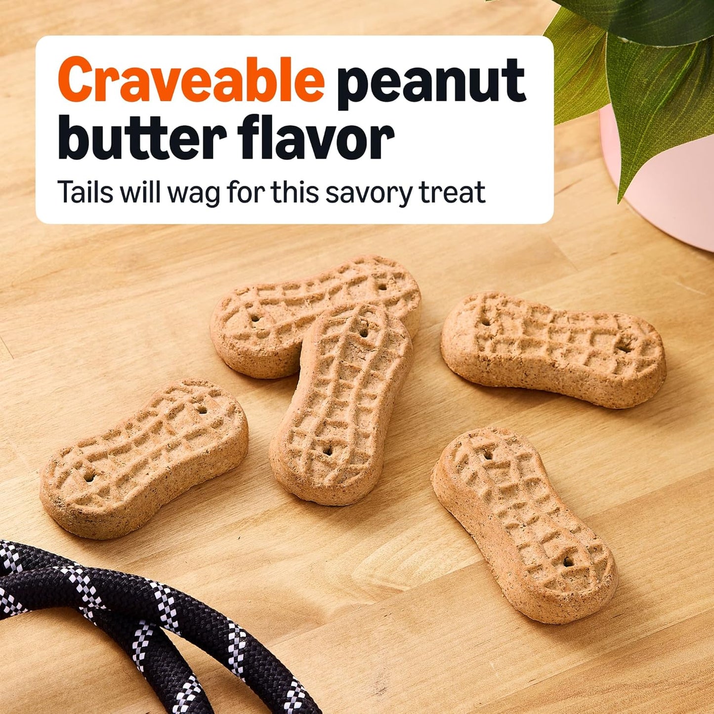 Amazon Basics Crunchy Dog Biscuits Peanut Butter Flavor Dog Treats 5 Lb. Box